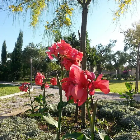 Farm stay Willaria