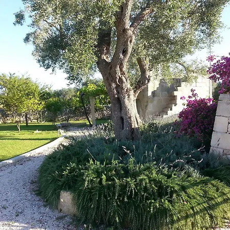 Willaria Farm stay